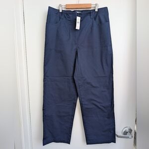 NWT Loft Darted Straight Pants In Stretch Cotton